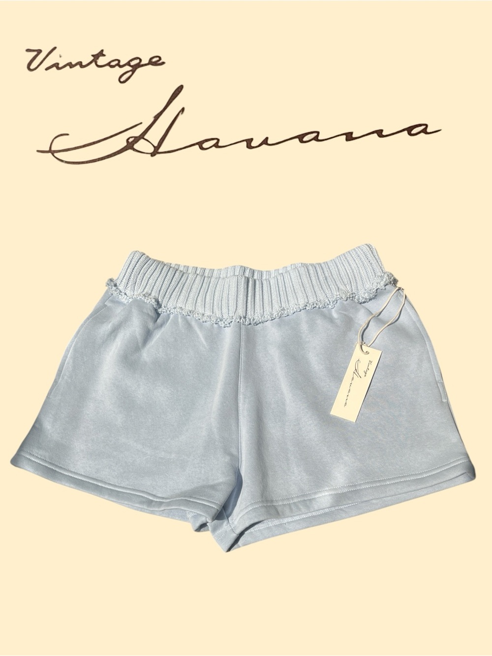 Vintage Fleece Ribbed Shorts in “Lake Blue” Size Medium